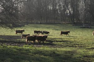 Besøg Sydvestkysten